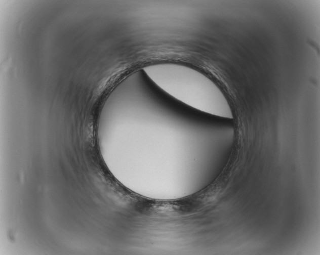 X0000100480407200806130737