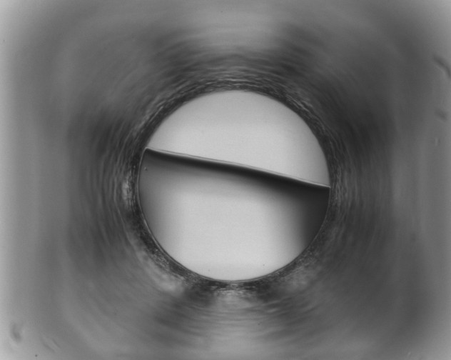 X0000100480408200806130737