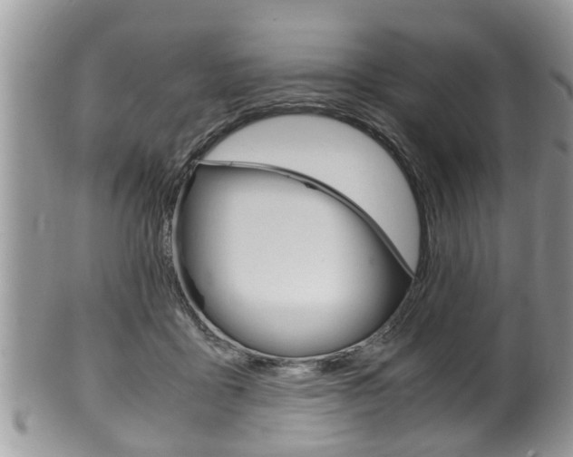 X0000100480411200806130737