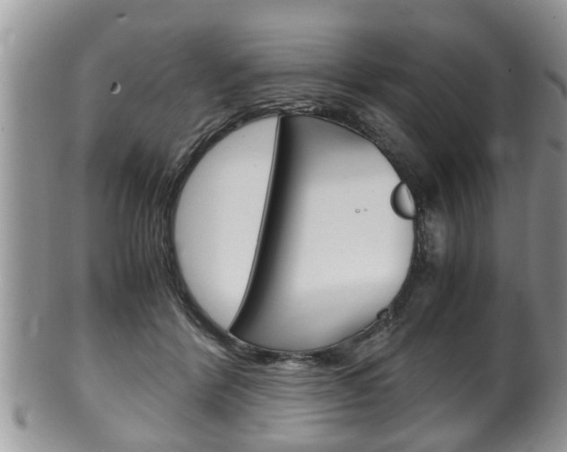 X0000100480412200806130737