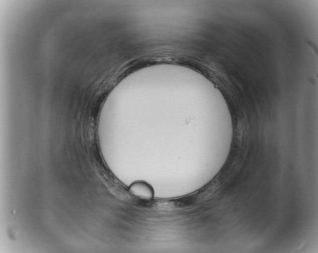 X0000100480413200806130737