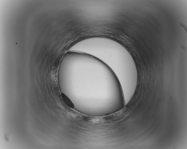 X0000100480415200806130737