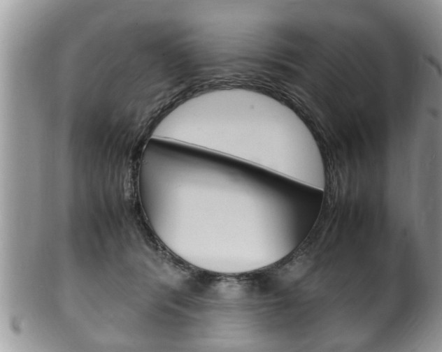 X0000100480416200806130737