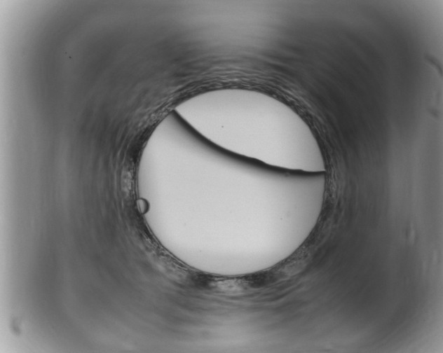 X0000100480417200806130737
