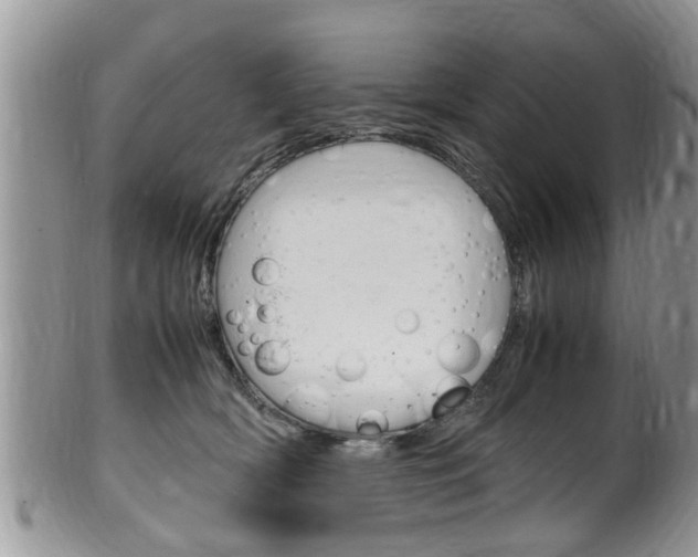 X0000100480418200806130737