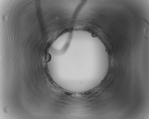 X0000100480419200806130737