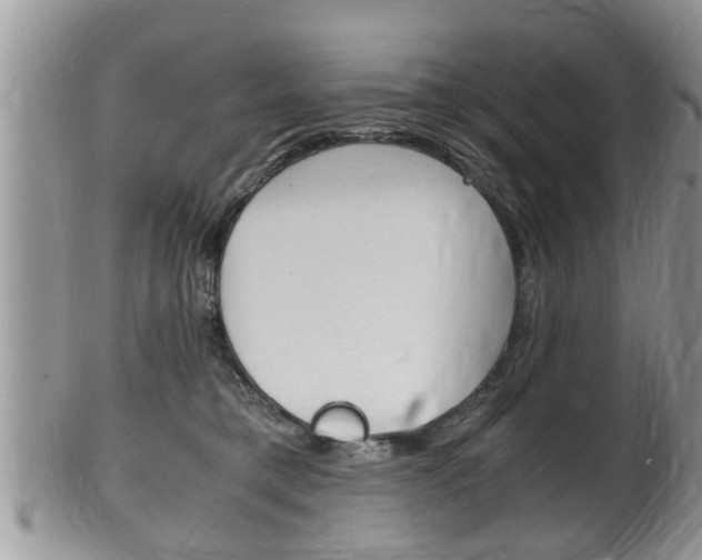 X0000100480421200806130737