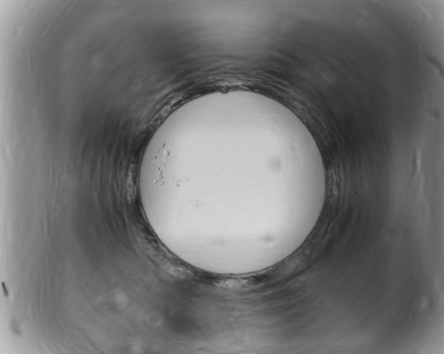 X0000100480422200806130737