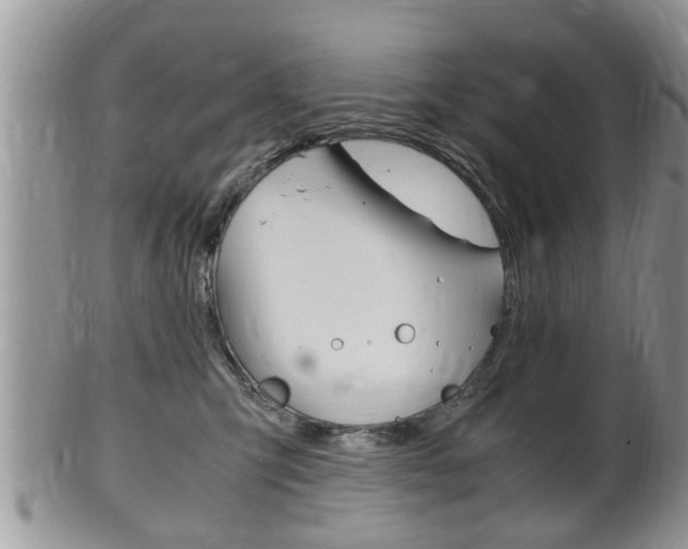 X0000100480423200806130737