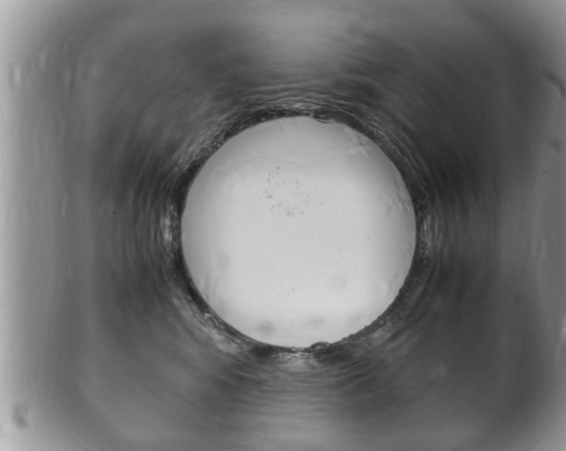 X0000100480424200806130737