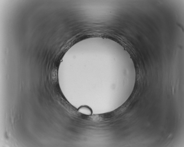 X0000100480425200806130736