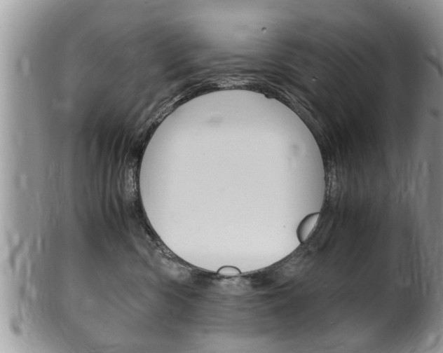 X0000100480426200806130736