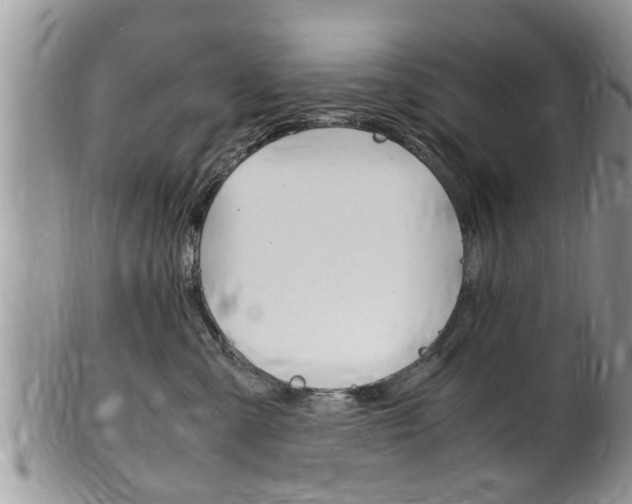 X0000100480427200806130736