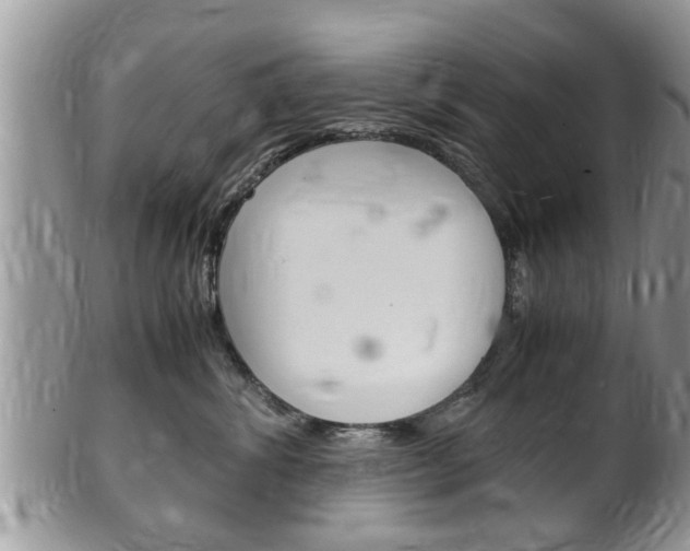 X0000100480428200806130736