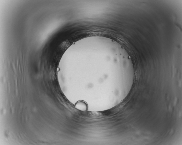 X0000100480429200806130736
