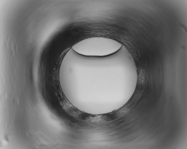 X0000100480430200806130736