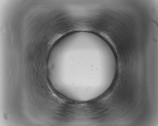 X0000100480433200806130736