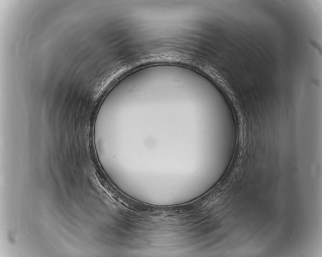 X0000100480434200806130736