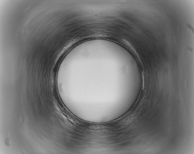 X0000100480435200806130736