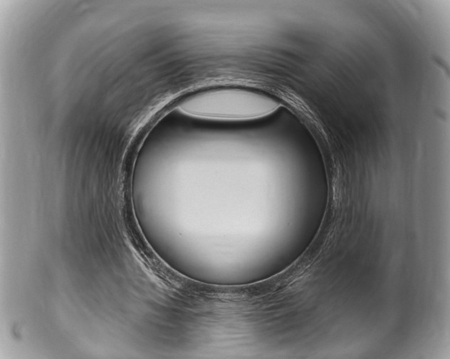 X0000100480436200806130736