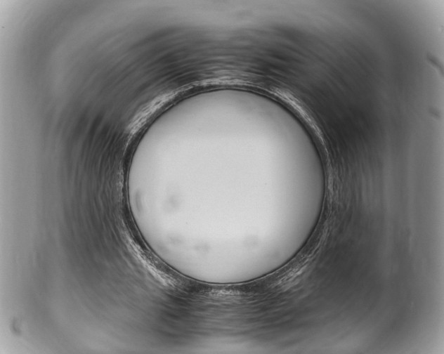 X0000100480437200806130736