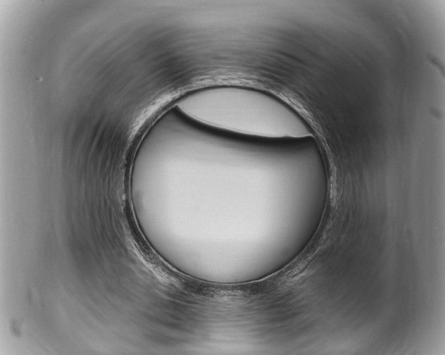 X0000100480438200806130736