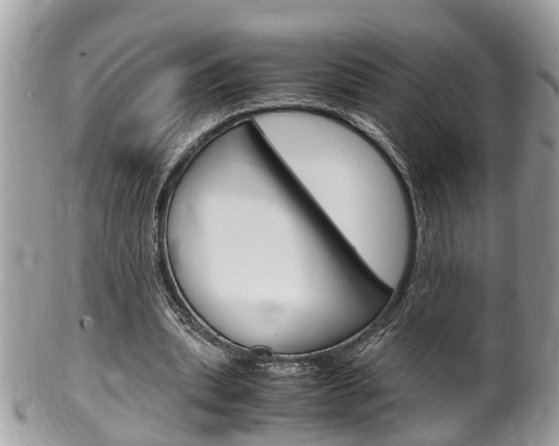 X0000100480439200806130736