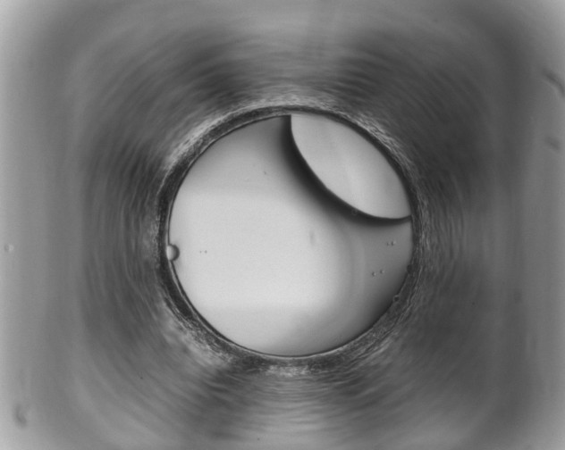 X0000100480440200806130736