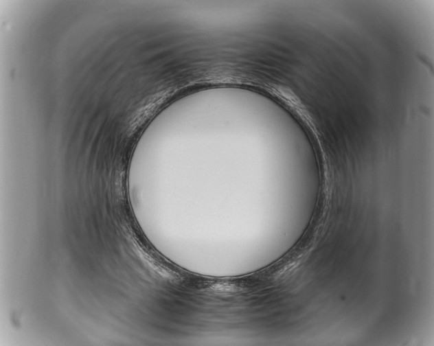 X0000100480441200806130736