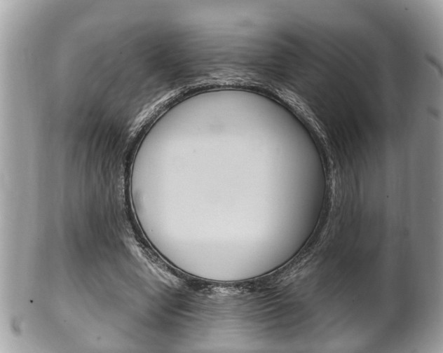 X0000100480442200806130736