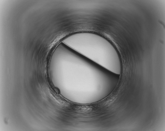 X0000100480443200806130736