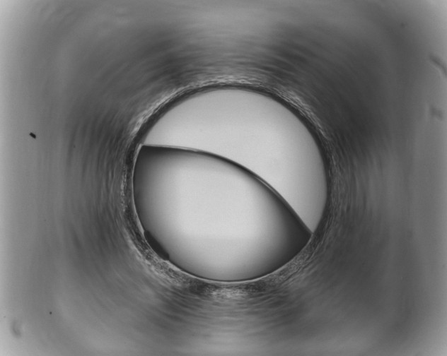 X0000100480444200806130736