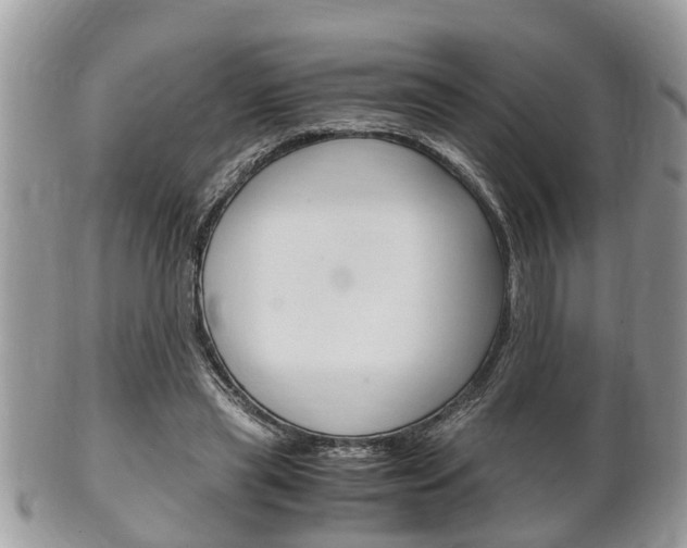 X0000100480445200806130736