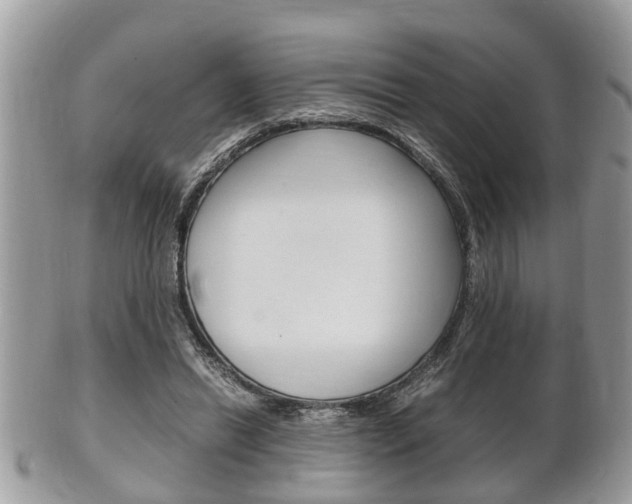 X0000100480446200806130736