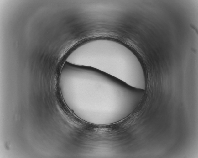 X0000100480448200806130736
