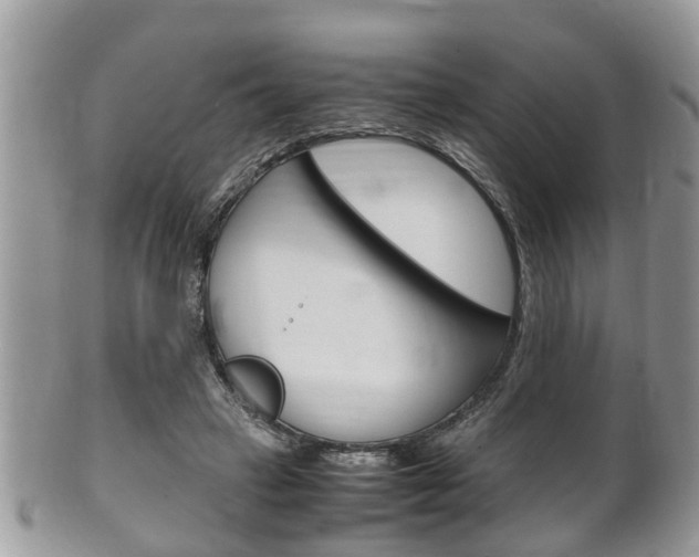 X0000100480449200806130736