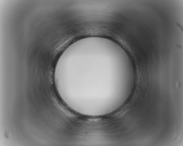 X0000100480450200806130736