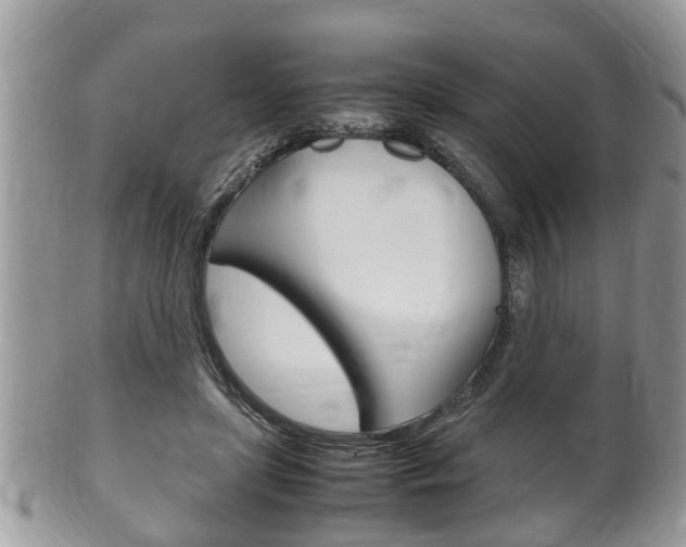 X0000100480451200806130736