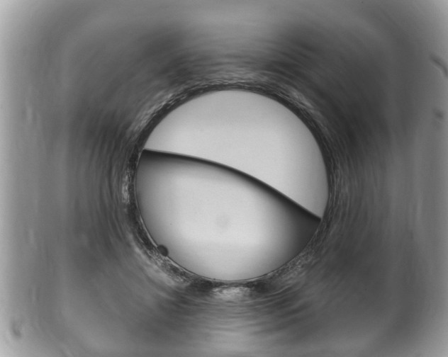 X0000100480452200806130736