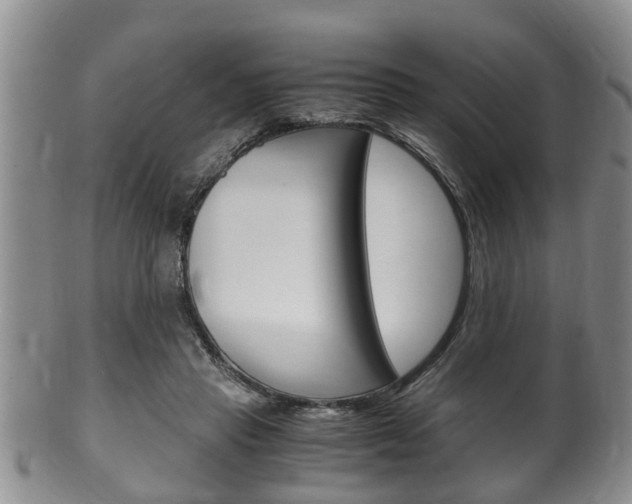 X0000100480453200806130736