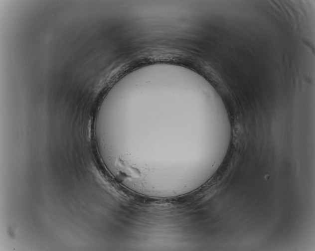 X0000100480454200806130736