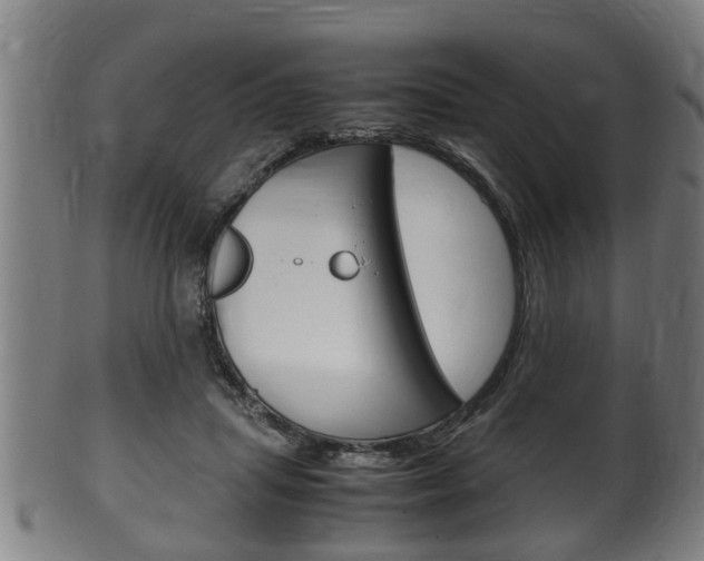 X0000100480455200806130736