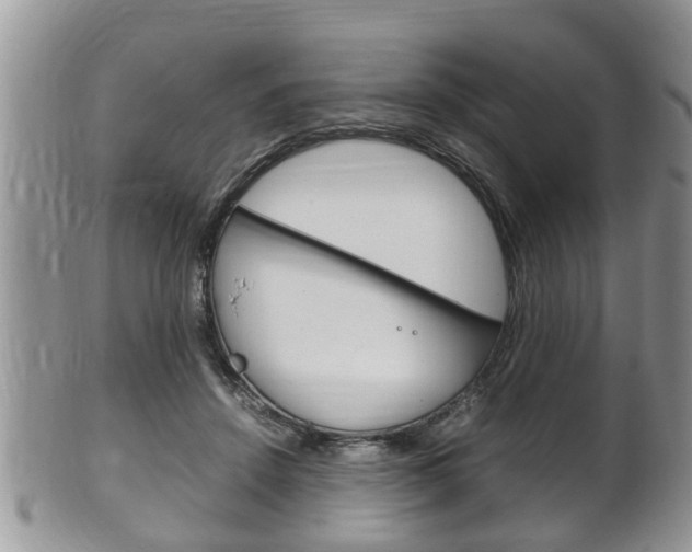 X0000100480456200806130736