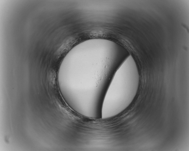 X0000100480458200806130736