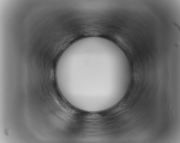 X0000100480459200806130736