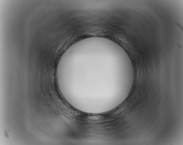 X0000100480461200806130736