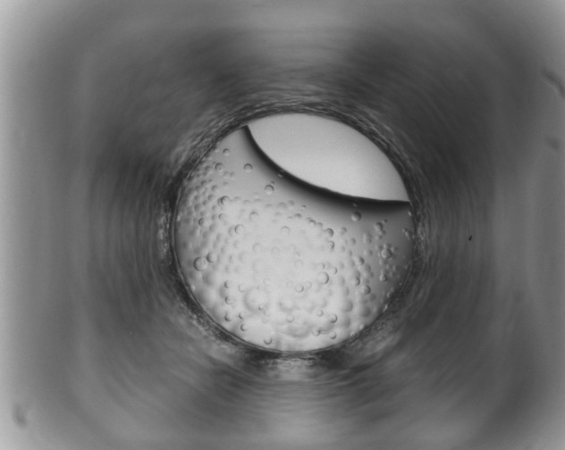 X0000100480462200806130736
