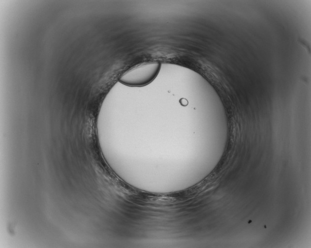 X0000100480463200806130736