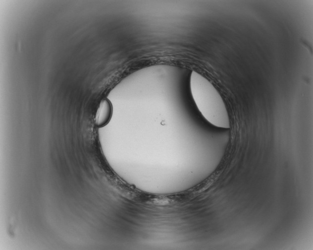 X0000100480464200806130736