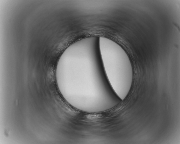 X0000100480465200806130736